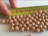 Chickpeas