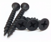 Drywall Screws Coarse/Fine thread 1022A M3.5-M5 can customized