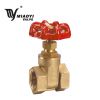 Brass Gate Valve