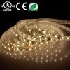 Sell 10mm SMD5050 LED flexible strips