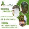 Tender Coconut