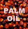 Palm Oil