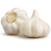 Fresh Garlic