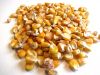 Animal Feed Yellow Corn Maize