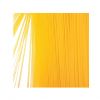 Italian spaghetti  export wholesale price