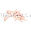 Frozen Chicken Feet(Foot) Grade: A