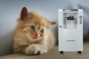 Veterinary animal oxygen therapy