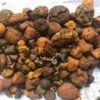 Ox Gallstone for sale  gallstone