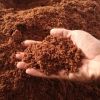 Coconut Peat Growing Plugs Hydroponics Seedling Starter Grow Sponges Vegetable Plant Soil Material Mini Coco Coir Peat