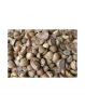 Betel Nut Dried Supari in Hot Sale With High Quality Newly Crop Ready For Export