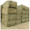 Hot Selling Timothy Hay For Animal Feed