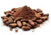 Organic Cocoa Beans - Premium Quality Wholesale Dried Cocoa Beans