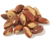 100% cheap price Brazil Nuts / Raw brazil nuts available for sale