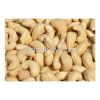 Quality Fresh Dried Cashew Nuts