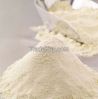 Skimmed Milk Powder