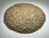 Green Cumin Seeds , Hight Quality