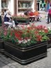 Sell flower planter flower pot street furniture gardon furnture