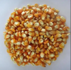 Sell yellow corn/ corn maize for animal feed