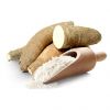 TAPIOCA STARCH/ CASSAVA STARCH FOR SALES