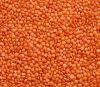 Lentils, Red Lentils, Pink Lentils All Colours, quality whole and split 100% Quality