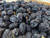 Premium Dried Plums (Stanley Variety) - Bulk Export from Moldova