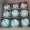Vietnamese coconut products