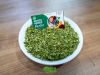 High Quality Moringa Seeds for Cultivation and Oil Extraction