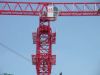 Sell Tower Crane QTZ63