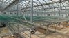 Sell greenhouse