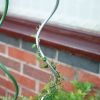 tomato spiral wire