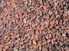 Sell Fermented Cocoa Bean