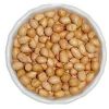 Sell Peanut Kernel