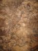 Sell Walnut Burl vaneer