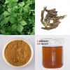 Siberian Ginseng Extract