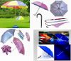 Various Umbrella, Sun Umbrella, Foldable Umbrella, Stick Umbrella, Vogue Umbrella, New Style Umbrella