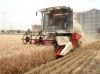 Self-propelled wheat combine harvester