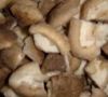 Sell frozen oyster mushroom/shittake mushroom