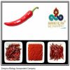 Sell capsaicine 16, 000, 000SHU 100% natural plant extract