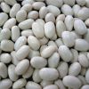 Sell white kidney bean-japan type