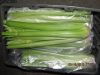 Sell fresh celery