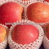 Sell Fresh fuji Apple