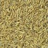 Sell Sumin Seed(Iranian origin)