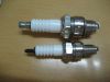 spark plugs