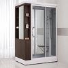 computerized steam room JS823