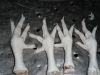 Export Chicken Paw | Chicken Feet Suppliers | Poultry Feet Exporters | Chicken Feets Traders | Processed Chicken Paw Buyers | Frozen Poultry Paw Wholesalers | Low Price Freeze Chicken Paw | Best Buy Chicken Paw | Buy Chicken Paw | Import Chicken Paw | Chi