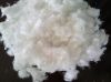 Sell PLA short cut fiber