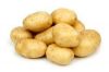 Looking for Potato Buyers