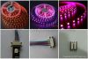 Sell 12VDC/24VDC Non-Waterproof 5050 SMD RGB LED Strip