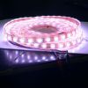 Sell 60LEDs/meter Waterproof 5050 SMD RGB LED Strip