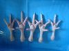 Export Chicken Paw | Chicken Feet Suppliers | Poultry Feet Exporters | Chicken Feets Traders | Processed Chicken Paw Buyers | Frozen Poultry Paw Wholesalers | Low Price Freeze Chicken Paw | Best Buy Chicken Paw | Buy Chicken Paw | Import Chicken Paw | Chi